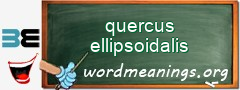 WordMeaning blackboard for quercus ellipsoidalis